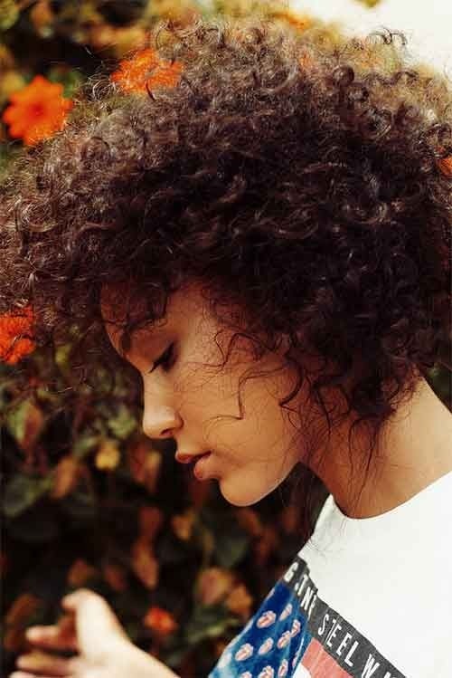 12 Pretty Short Curly Hairstyles For Black Women Styles Weekly