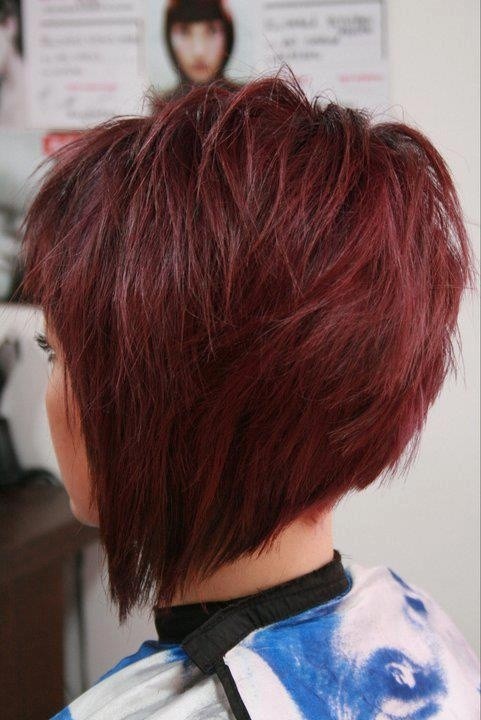 Stacked Bob Haircut Tumblr Hairstyles