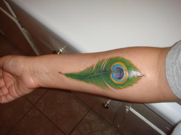Peacock feathers tattoo