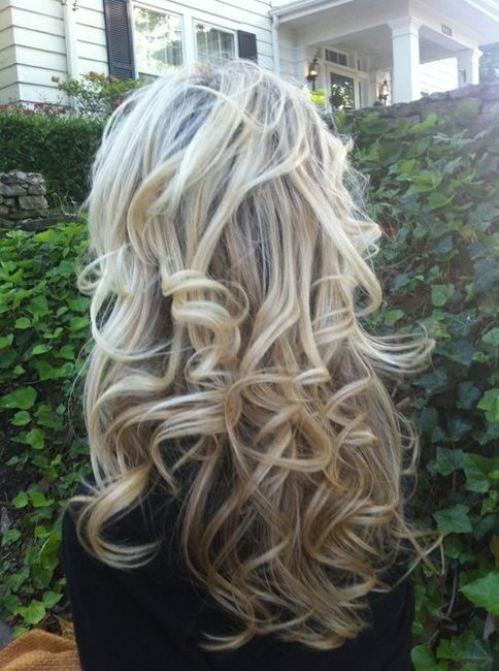 Back View of Long Soft Curly Hairstyle for Girls