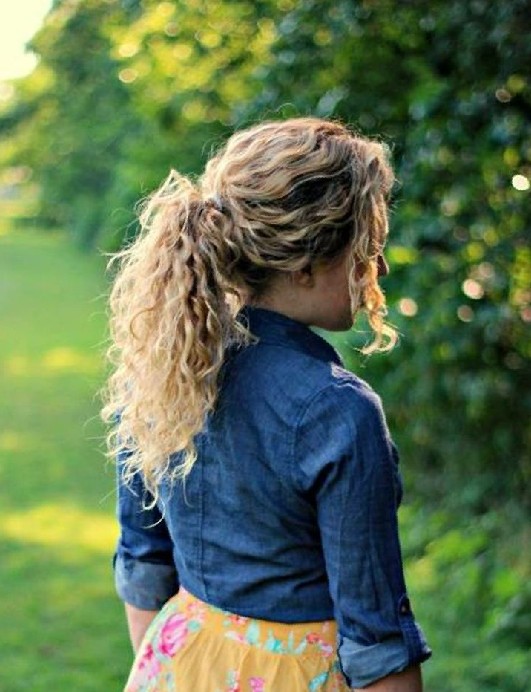 Easy Hairstyles for Curly Hair The Ponytail