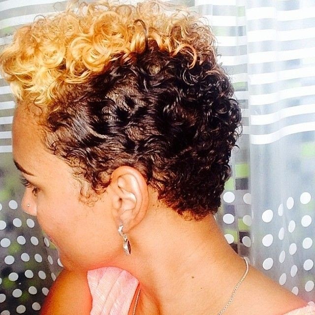 African American Short Hairstyle with Natural Curls