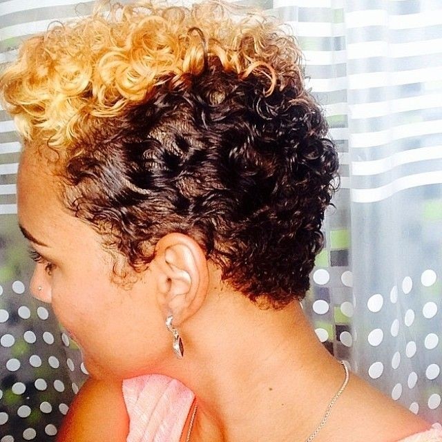 African American Short Hairstyle With Natural Curls