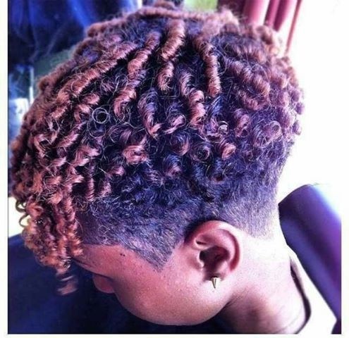 Pretty Coiled Tapered Twa - Shaved Short Haircuts for African American Women and Girls