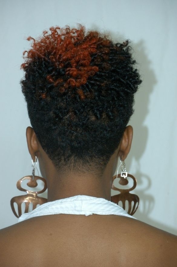 Natural Twist Pixie Hairstyles Back View