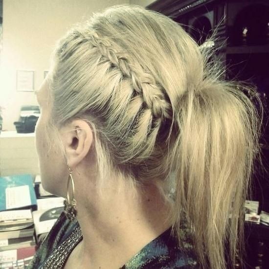 Lovely Braided Ponytail for 2015