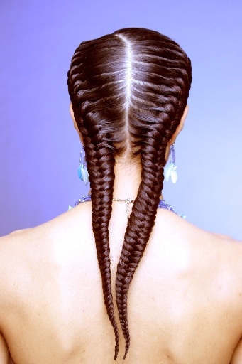 Fishtail braids