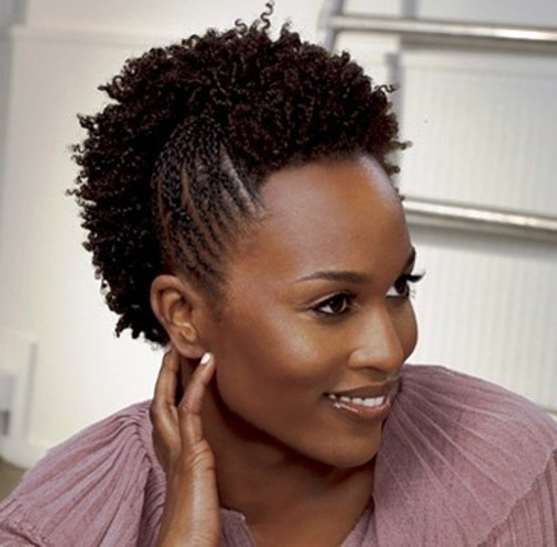 Quick Natural Hairstyles For Black Hair