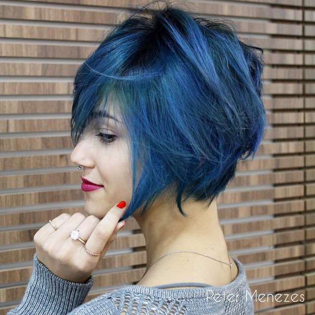 Short Hair Blue