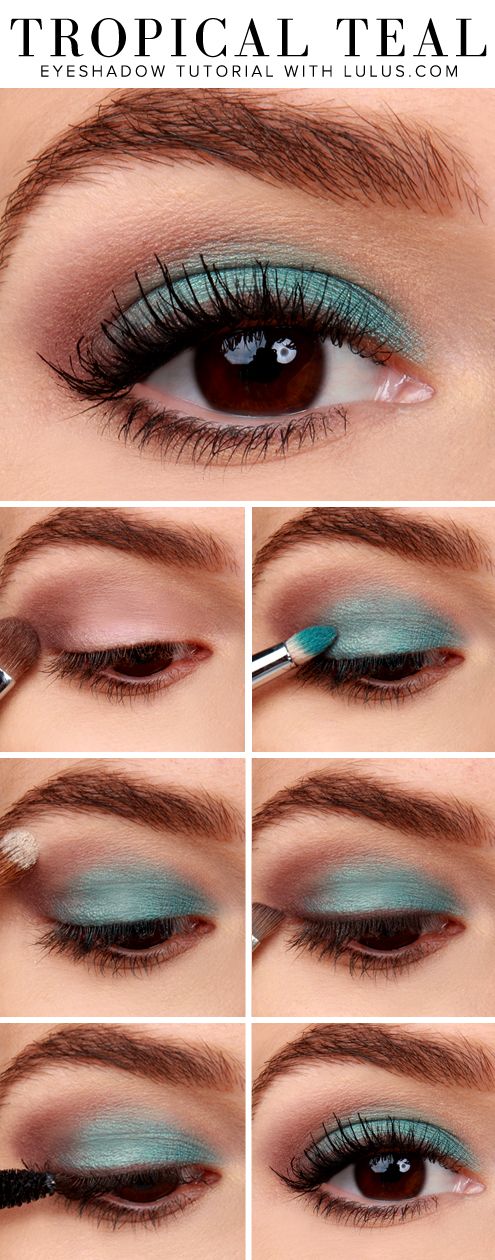 Step by Step Eyeshadow Tutorials